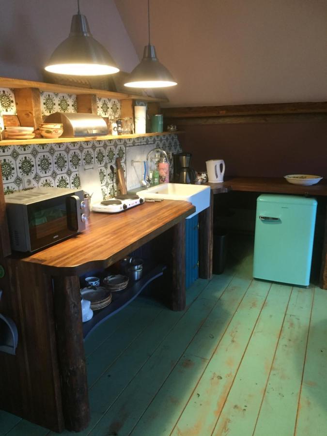 Holsloot De Distelweide Bed & Breakfast エクステリア 写真