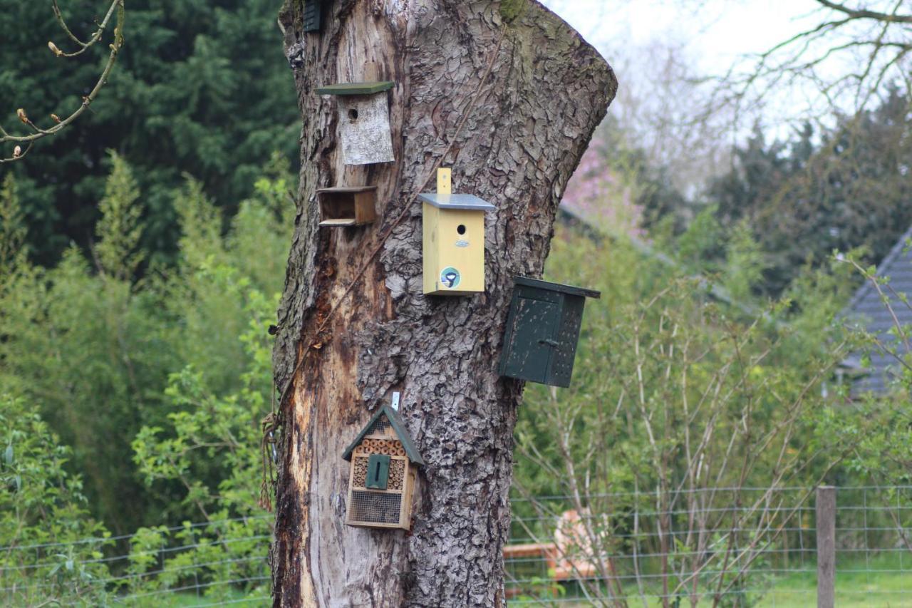 Holsloot De Distelweide Bed & Breakfast エクステリア 写真