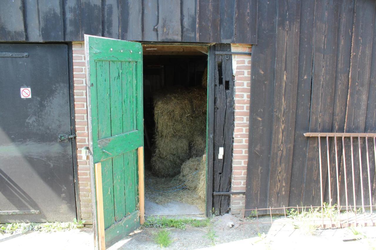 Holsloot De Distelweide Bed & Breakfast エクステリア 写真