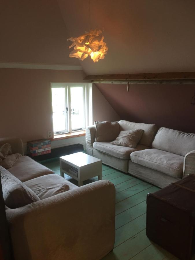 Holsloot De Distelweide Bed & Breakfast エクステリア 写真