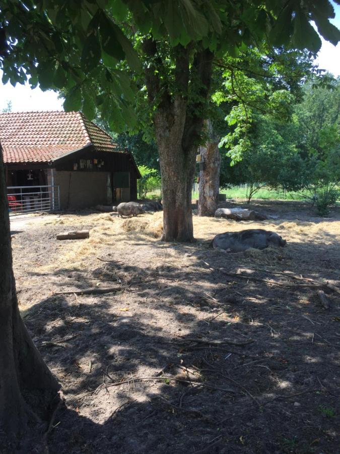 Holsloot De Distelweide Bed & Breakfast エクステリア 写真