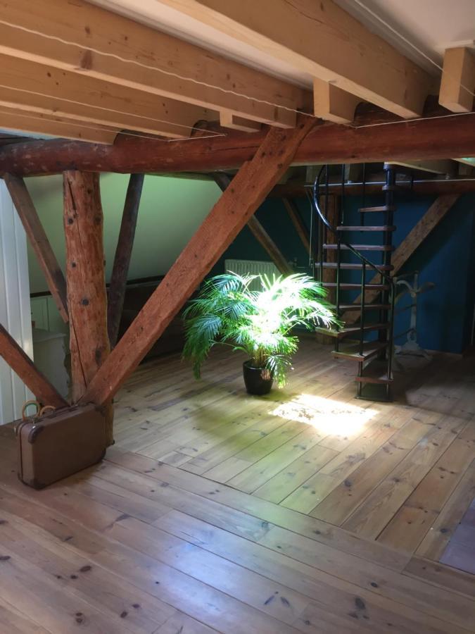 Holsloot De Distelweide Bed & Breakfast エクステリア 写真